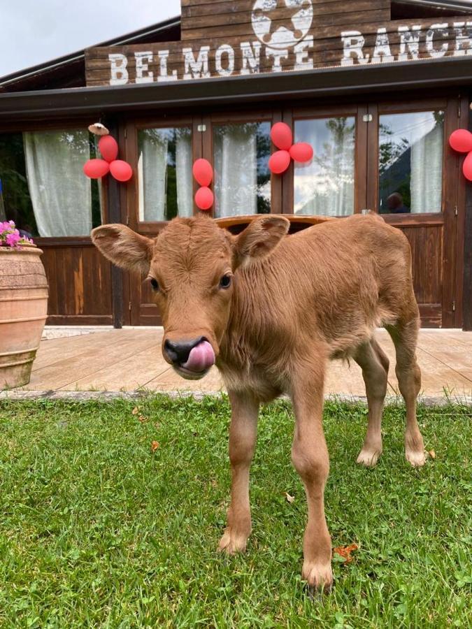 Belmonte Ranch Villa Belmonte Castello Ngoại thất bức ảnh